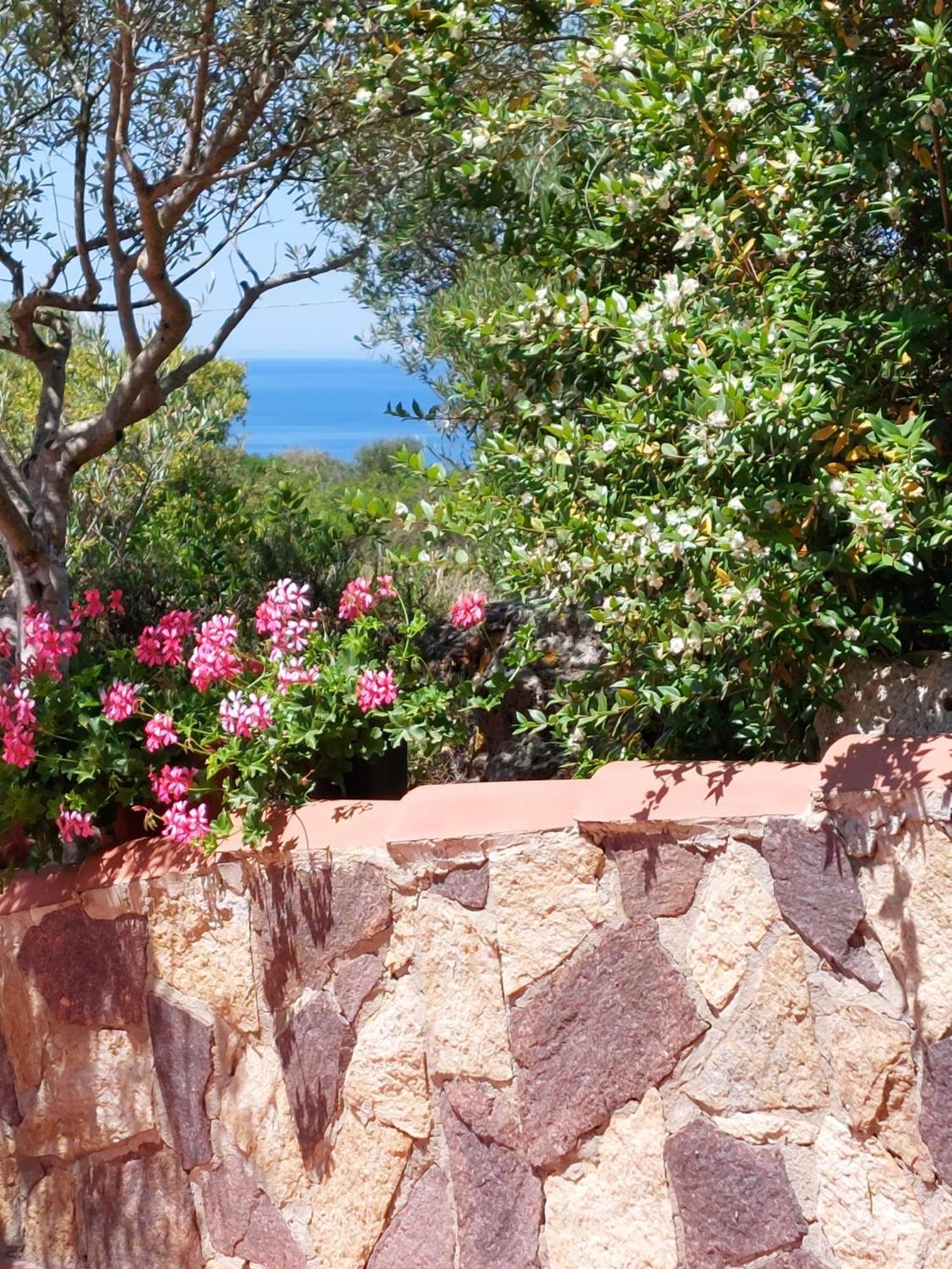 Arcamyrtus Pension Alghero Buitenkant foto