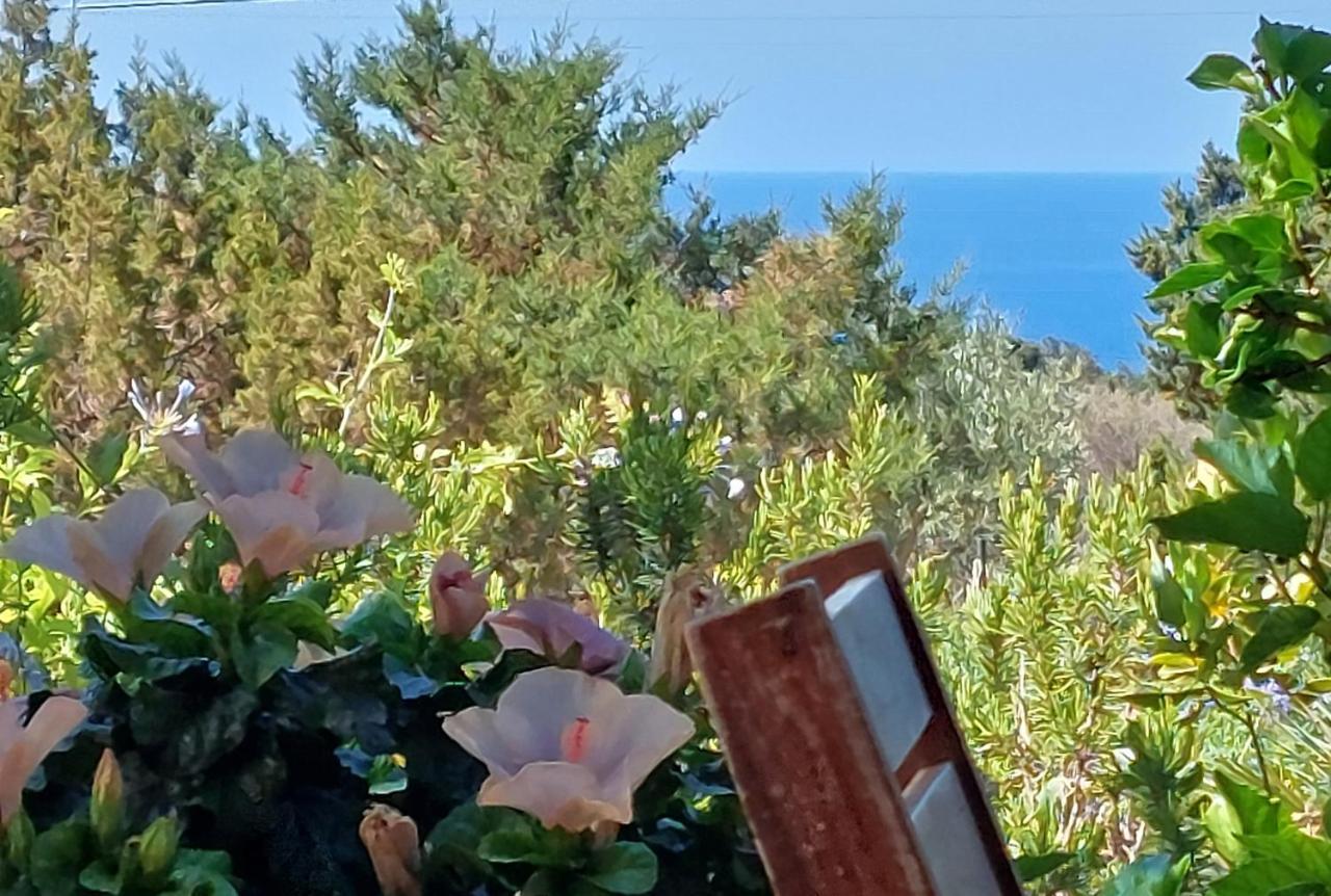 Arcamyrtus Pension Alghero Buitenkant foto