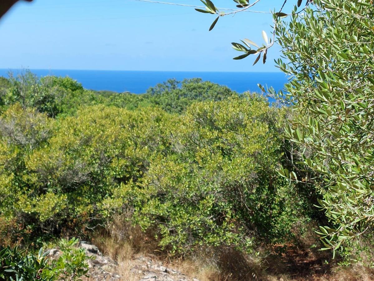 Arcamyrtus Pension Alghero Buitenkant foto