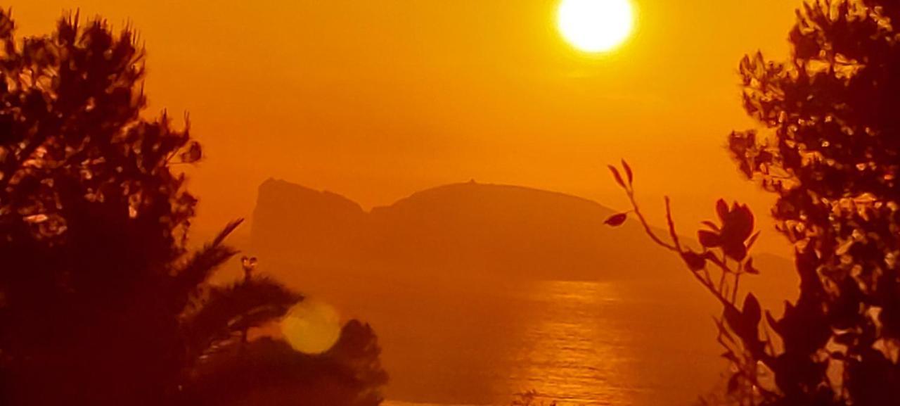 Arcamyrtus Pension Alghero Buitenkant foto