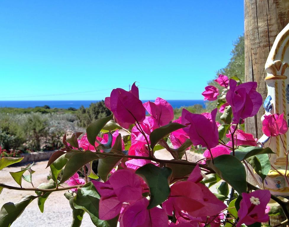 Arcamyrtus Pension Alghero Buitenkant foto