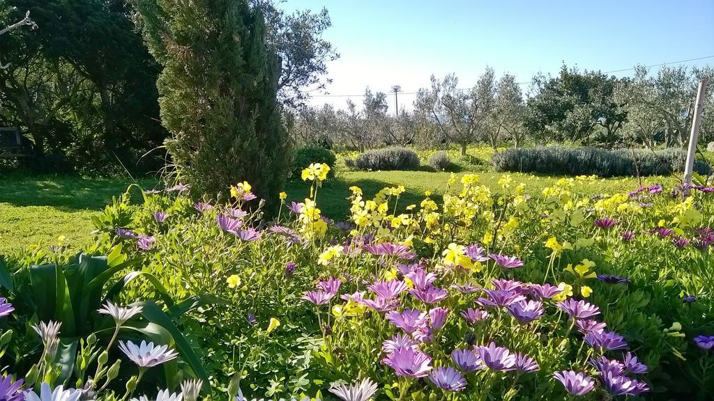 Arcamyrtus Pension Alghero Buitenkant foto