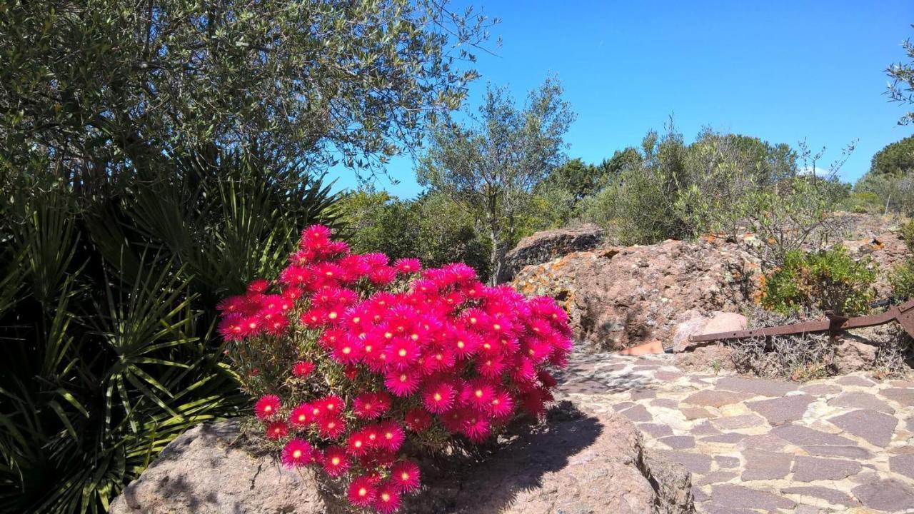 Arcamyrtus Pension Alghero Buitenkant foto